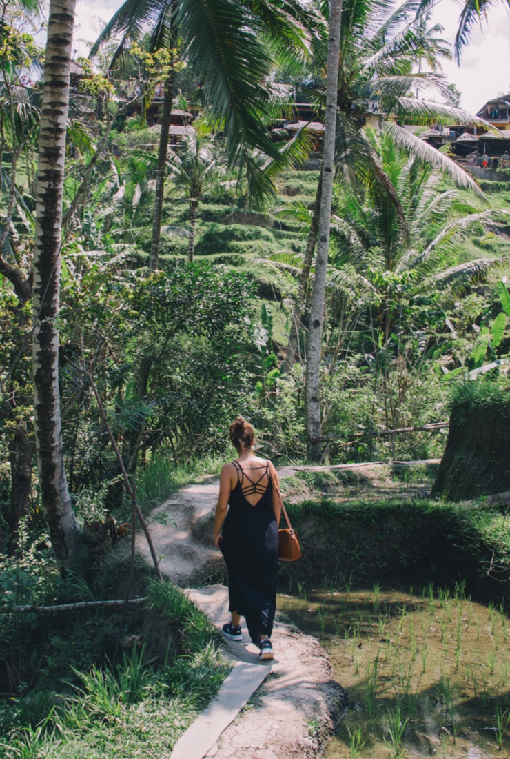 1-3-bali-ricefield-01