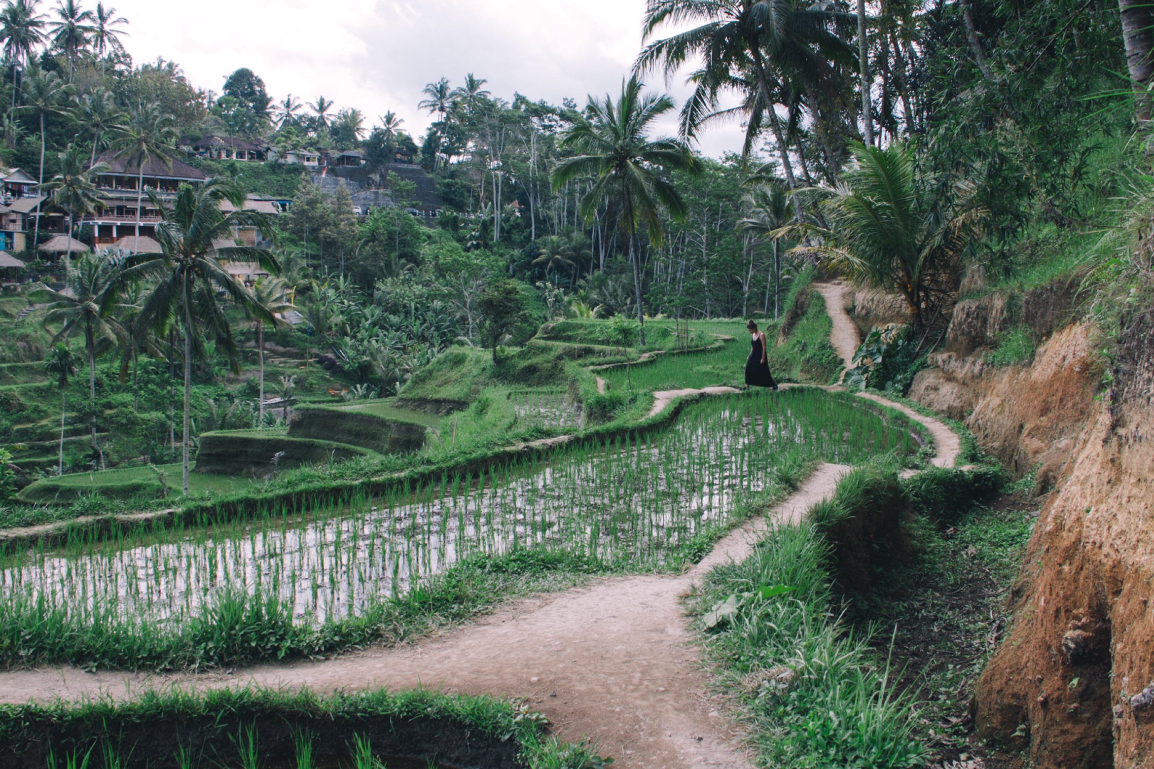 1-3-bali-ricefield-04