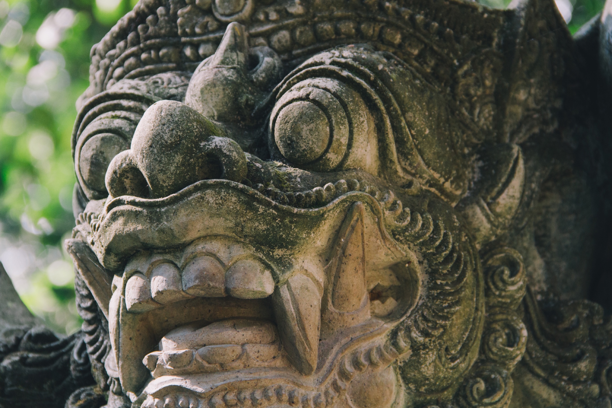 1-4-bali-monkeyforest-02 copy