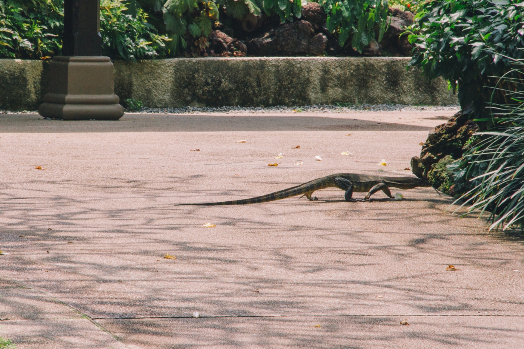 2-3-singapore-garden-02