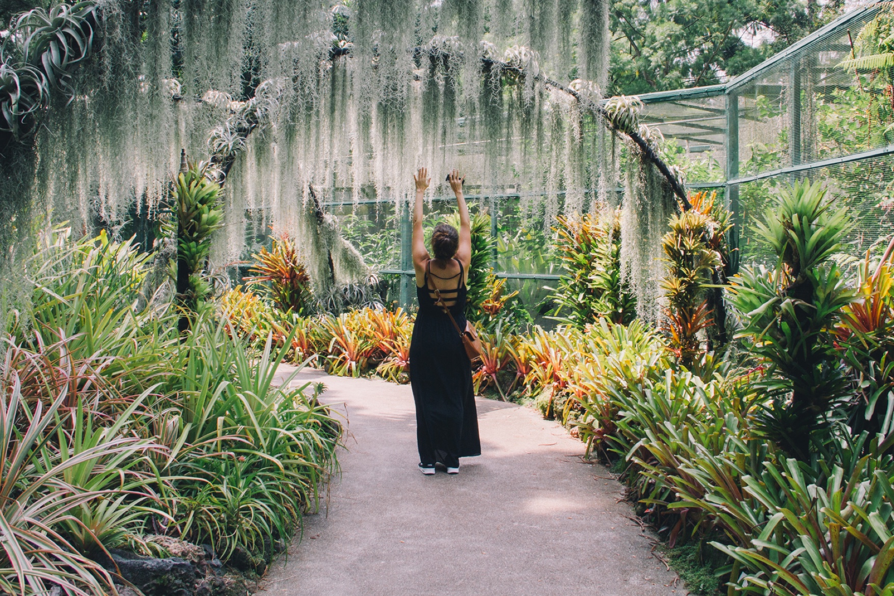 2-3-singapore-garden-05