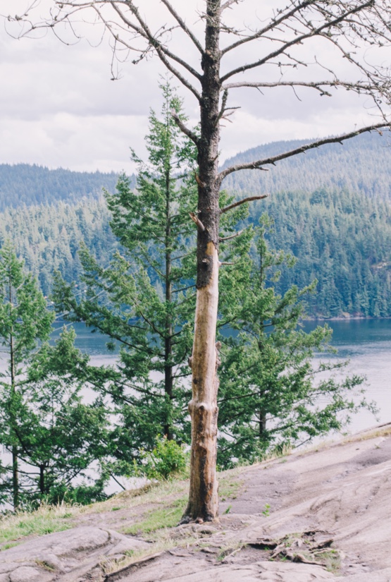 3-2-kanada-deep-cove-02-1