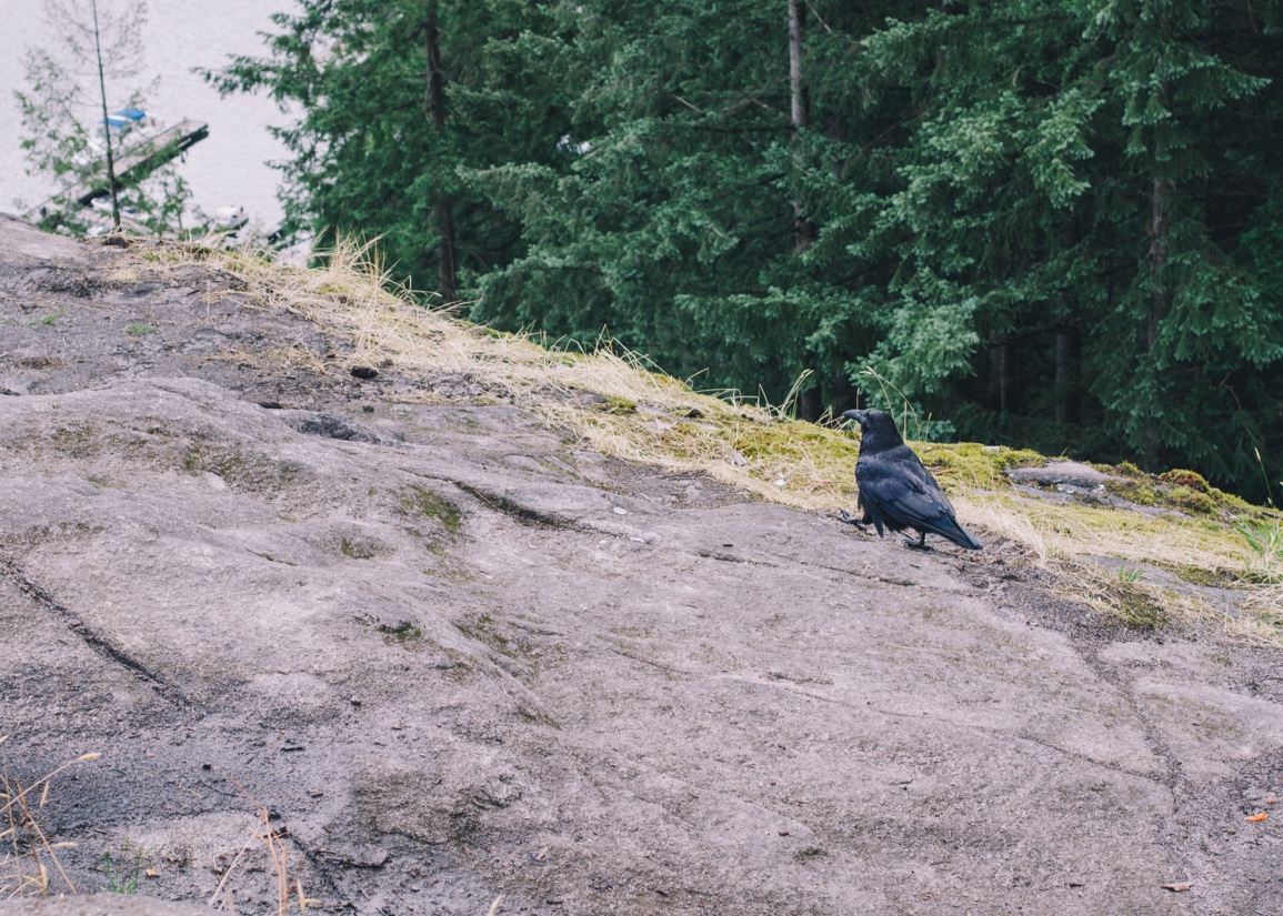 3-2-kanada-deep-cove-03-1