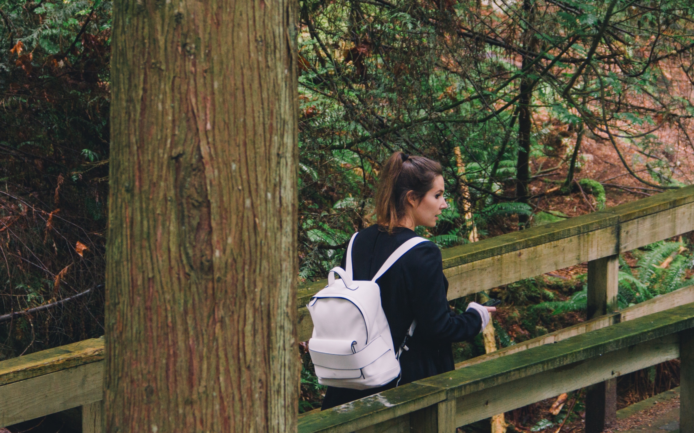 3-2-kanada-deep-cove-04