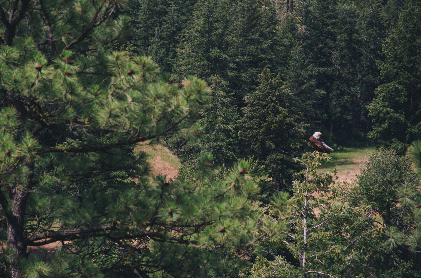 3-5-kanada-lillooet-06