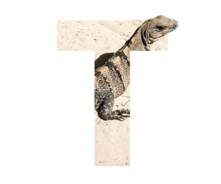 Tulum